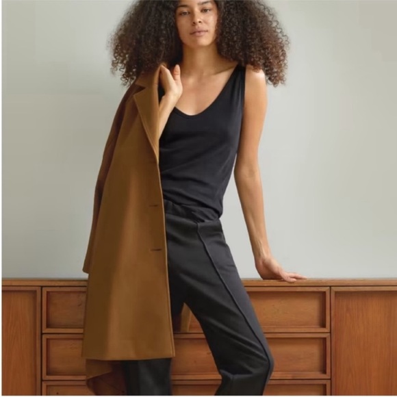 Everlane Pants - NWT Everlane The Dream Pant Size Small